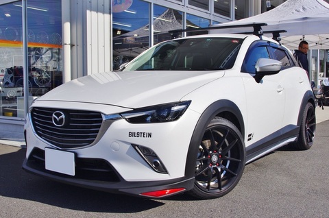 CX-3.JPG