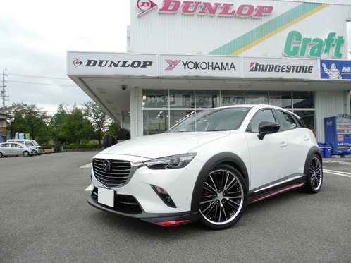 ＣＸ３ ＣＸ３ビルシュタイン ＣＸ３Ｂ１４ ＣＸ３２０インチ ワークバルムングＢＧ３２０インチ