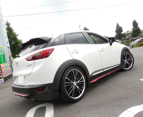 ＣＸ３ ＣＸ３ビルシュタイン ＣＸ３Ｂ１４ ＣＸ３２０インチ ワークバルムングＢＧ３２０インチ