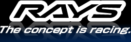 RAYS_logo.jpg